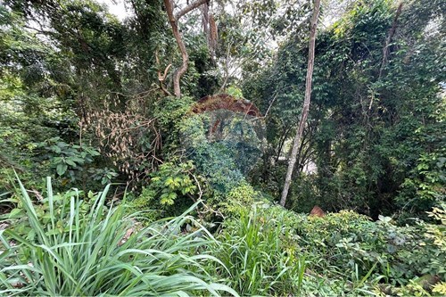 Venda-Terreno-Barreiro , Mairiporã , São Paulo , 07611575-631361025-23