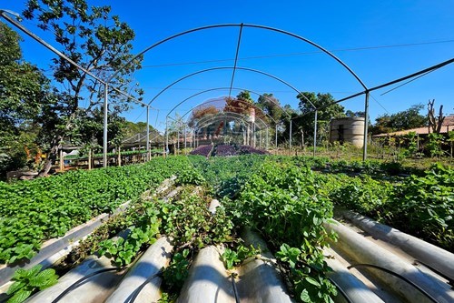 Slider Image Thumbnail