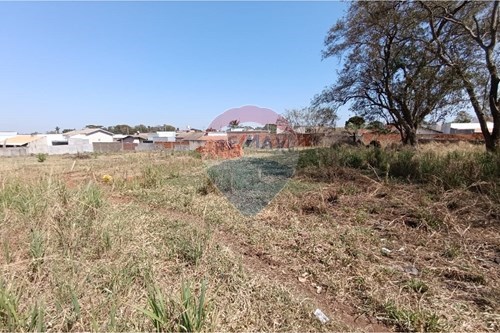 Venda-Terreno-Rua Guiomar Soares de Andrade , SN  - Vila São João , Andradina , São Paulo , 16903000-631201035-67