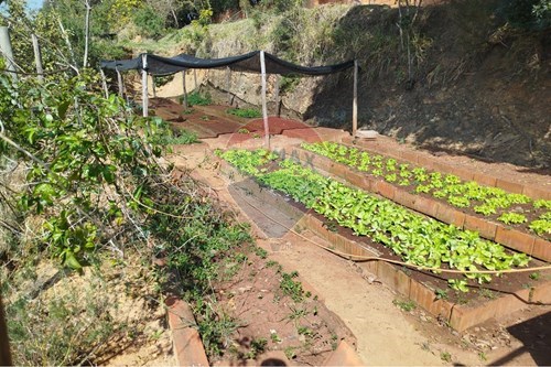 Slider Image Thumbnail