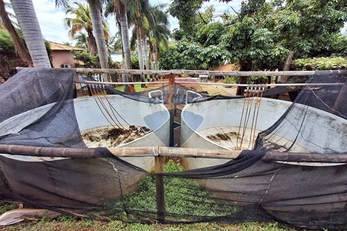 Slider Image Thumbnail