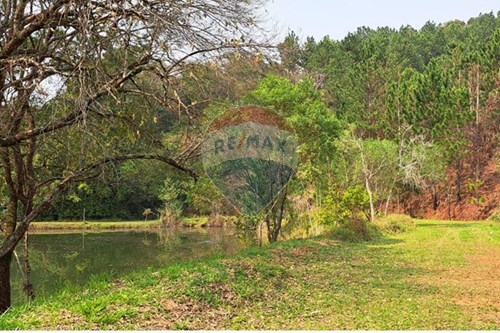 Venda-Chácara / Sítio / Fazenda-Centro , Araçariguama , São Paulo , 18147000-631601010-7