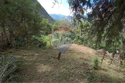 Venda-Terreno-Retiro , Petrópolis , Rio de Janeiro , 25680710-630131052-14