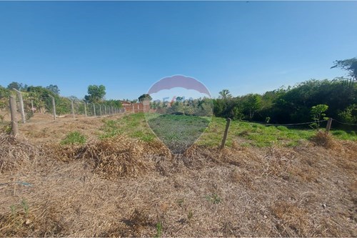 Venda-Chácara / Sítio / Fazenda-Centro , Álvares Machado , São Paulo , 19160000-630861067-7