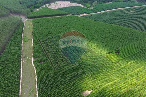 Venda-Chácara / Sítio / Fazenda-Avenida Ernesto Eburneo , 84  - Baroneza  - Centro , Bofete , São Paulo , 18590000-630481027-104