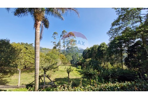 Venda-Chácara / Sítio / Fazenda-Alves , Ibiúna , São Paulo , 18150000-631331010-42