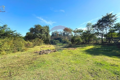 Venda-Chácara / Sítio / Fazenda-Aeroporto , Araçatuba , São Paulo , 16056725-630541038-46