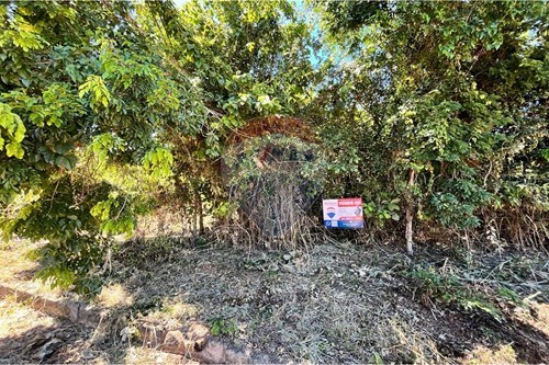 Venda-Terreno-rua Sarda , LOTE 15  - LOTEAMENTO BOSQUE DOS BÚZIOS  - Vila Verde , Armação dos Búzios , Rio de Janeiro , 28959660-630391006-70