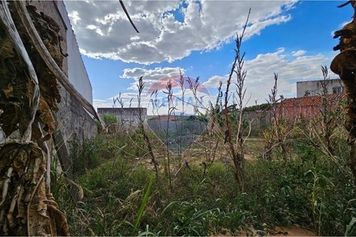 Alugar-Terreno-Campo Largo , Salto de Pirapora , São Paulo , 18162-500-631181001-440
