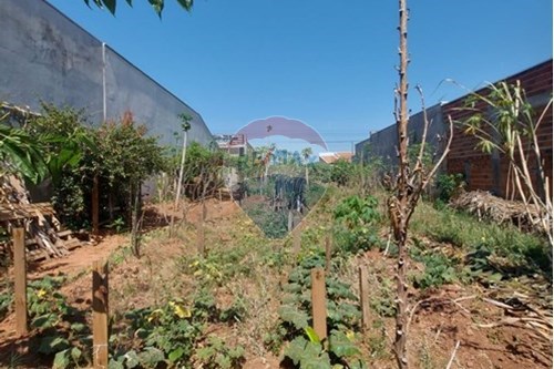 Venda-Terreno-Parque Imperial , Presidente Prudente , São Paulo , 19028220-630861067-4