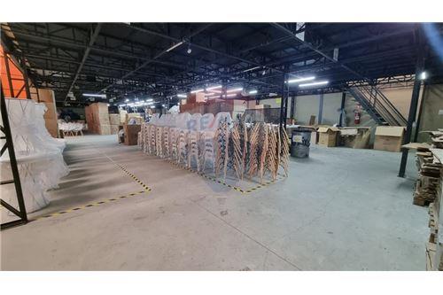 Galpão - Alugar - Mogi das Cruzes , São Paulo - 5 - 630281011-797