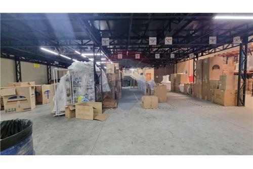 Galpão - Alugar - Mogi das Cruzes , São Paulo - 2 - 630281011-797