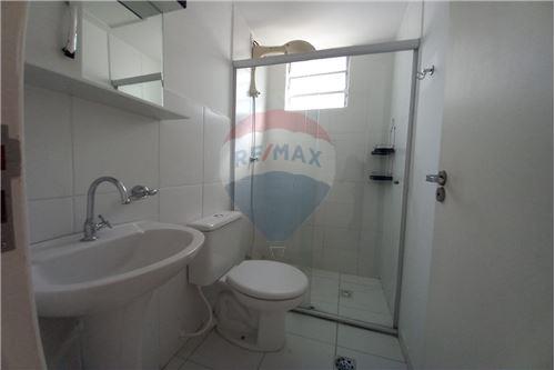 Apartamento - Alugar - Botucatu , São Paulo - 8 - 630111016-275