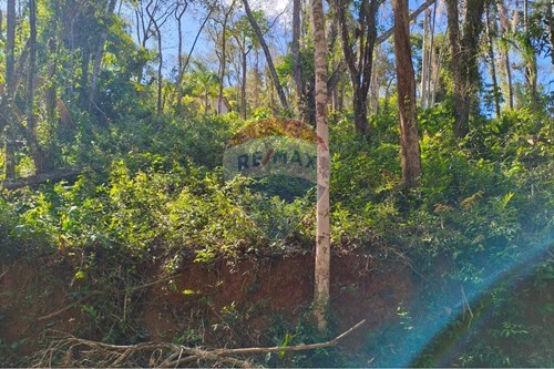 Venda-Terreno-Rua Elvira Rodriguez Bolivar , 000  - Prfoximo a cachoeira  - Terra Preta , Mairiporã , São Paulo , 07663365-631361069-8