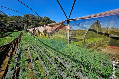 Slider Image Thumbnail