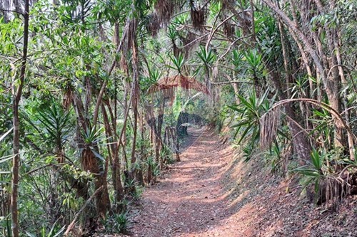 Slider Image Thumbnail