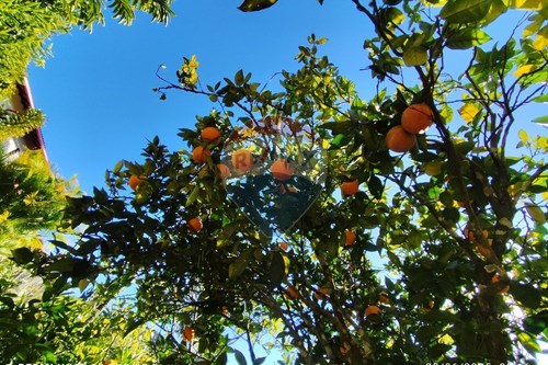 Slider Image Thumbnail