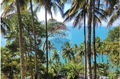Venda-Terreno-Pacuíba , Ilhabela , São Paulo , 11636200-690881023-41