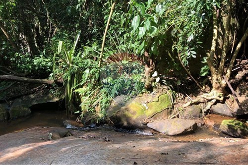 Slider Image Thumbnail