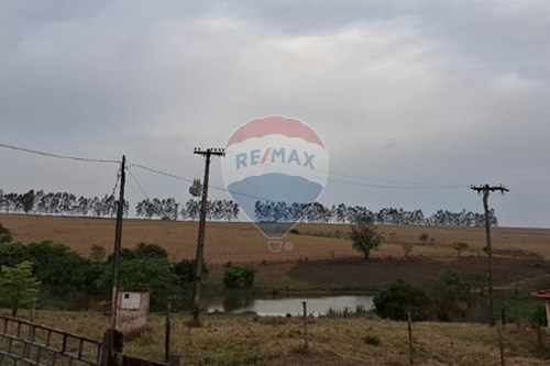 Venda-Chácara / Sítio / Fazenda-Fazenda 53 alqueires , S/N  - ZONA RURAL  - Centro , Fernandópolis , São Paulo , 15613899-630541001-16