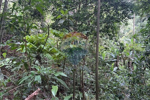 Venda-Terreno-Barreiro , Mairiporã , São Paulo , 07611575-631361025-21