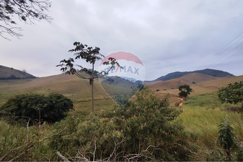 Venda-Chácara / Sítio / Fazenda-Centro , Duas Barras , Rio de Janeiro , 28650000-630171001-39