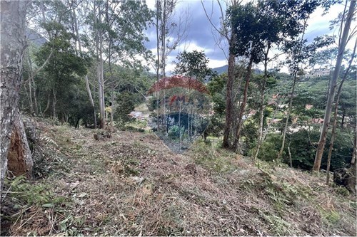 Venda-Terreno-Olaria , Nova Friburgo , Rio de Janeiro , 28625235-630551007-314