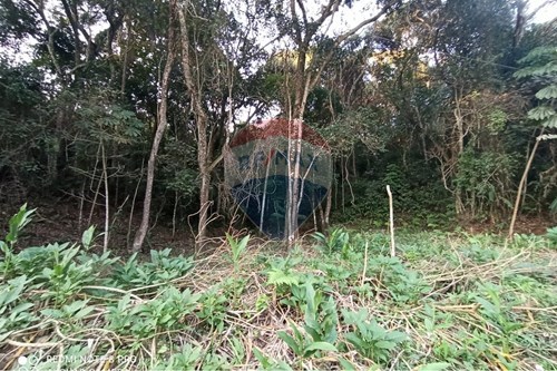Venda-Terreno-Centro , Mairiporã , São Paulo , 07606404-631361025-36