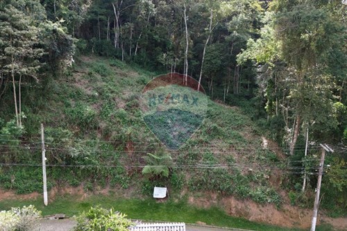 Venda-Terreno-Rua Jornalista Pedro Curio , 166  - Condomínio Cisne Branco  - Ponte da Saudade , Nova Friburgo , Rio de Janeiro , 28615150-630551049-25
