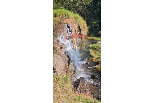 Venda-Chácara / Sítio / Fazenda-Centro , Santa Isabel , São Paulo , 07500991-631491029-10