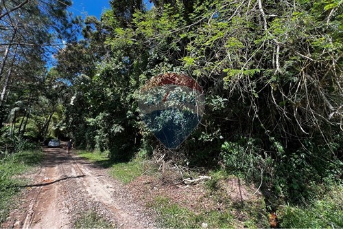 Venda-Terreno-Rua Ipê Roxo , s/n  - Amavale  - Albuquerque , Teresópolis , Rio de Janeiro , 25976735-630191071-4