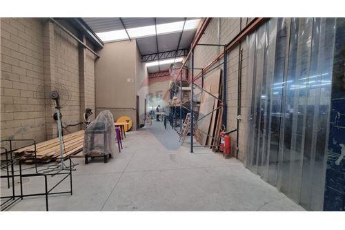 Galpão - Alugar - Mogi das Cruzes , São Paulo - 3 - 630281011-797