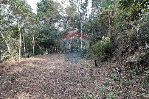 Venda-Terreno-Mury , Nova Friburgo , Rio de Janeiro , 28615460-630551071-14