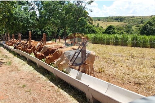 Slider Image Thumbnail