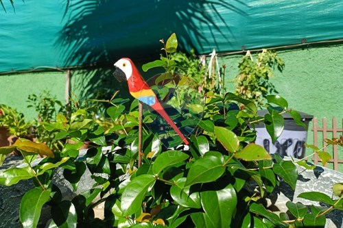 Slider Image Thumbnail