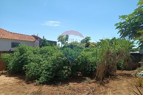 Venda-Terreno-Vila Irmãos Andrade , Lins , São Paulo , 16400-726-631011046-1