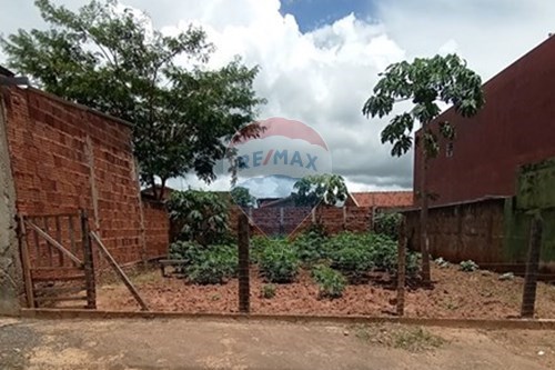 Venda-Terreno-Rua Antônio Pinto , 1285  - Bairro Ana Carolina  - Conj. Hab. Francisco José de Oliveira Ratto , Lins , São Paulo , 16401473-630511048-30