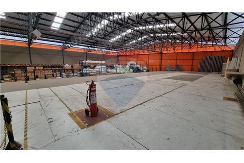 Galpão - Alugar - Mogi das Cruzes , São Paulo - 25 - 630281011-797