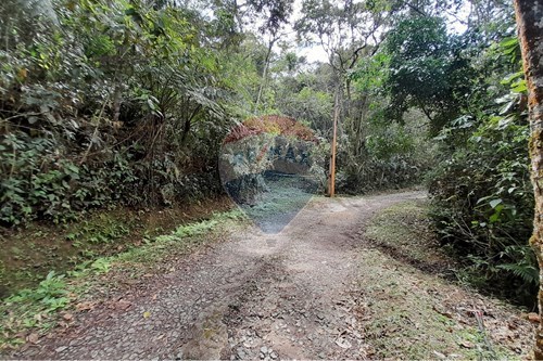 Venda-Terreno-Vargem Grande , Teresópolis , Rio de Janeiro , 25990-113-630191084-20