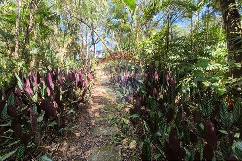 Slider Image Thumbnail