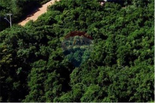 Venda-Terreno-lote terreno 50 , 50  - Enseada dos Albatroz  - Geribá , Armação dos Búzios , Rio de Janeiro , 28950000-630391022-56