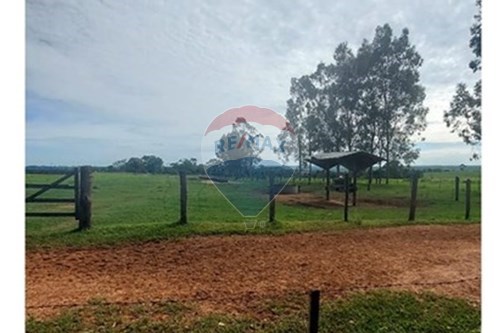 Venda-Chácara / Sítio / Fazenda-Centro , Araçatuba , São Paulo , 16074-970-630541001-37