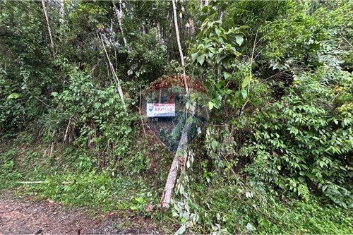 Venda-Terreno-Pirucaia , Mairiporã , São Paulo , 07636550-631361005-102