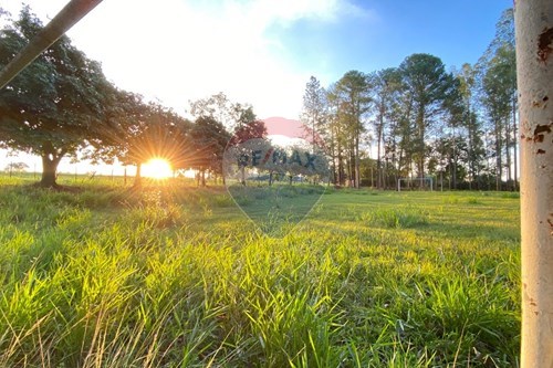 Venda-Chácara / Sítio / Fazenda-Chácara três irmãos, 3GM6+VR - Tupã, SP , s/n  - Zona Rural , Tupã , São Paulo , S/N-630151076-12