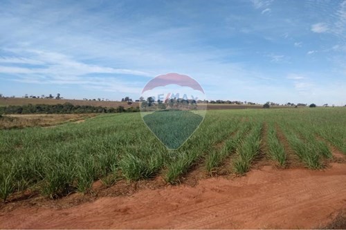 Venda-Chácara / Sítio / Fazenda-Centro , Pereira Barreto , São Paulo , 15378899-630541001-15