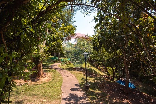 Slider Image Thumbnail