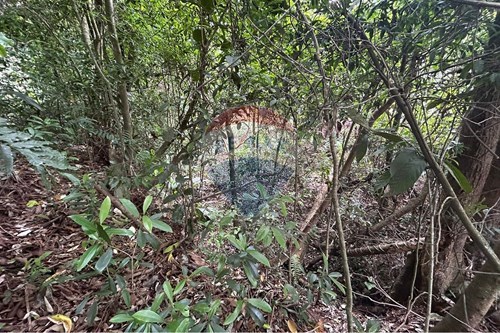 Venda-Terreno-Barreiro , Mairiporã , São Paulo , 07611585-631361025-22