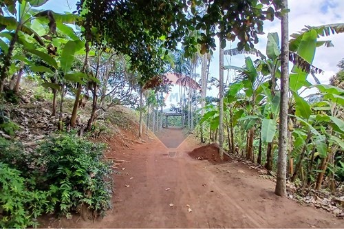 Venda-Chácara / Sítio / Fazenda-Centro , Sumidouro , Rio de Janeiro , 28660000-630551084-18