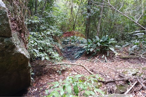 Slider Image Thumbnail