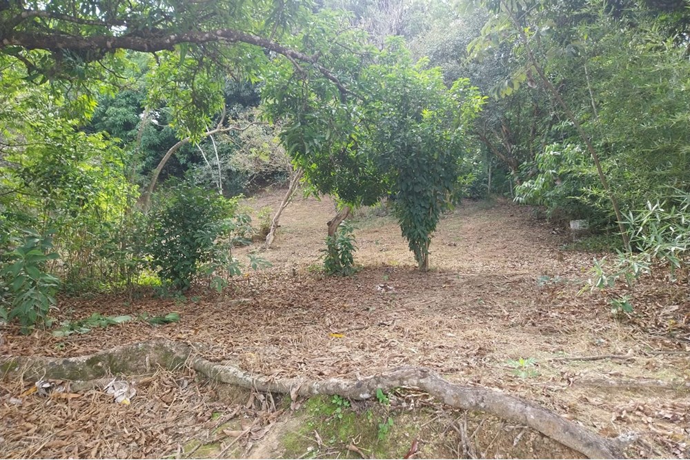 Terreno, 2803 m² - Foto 13